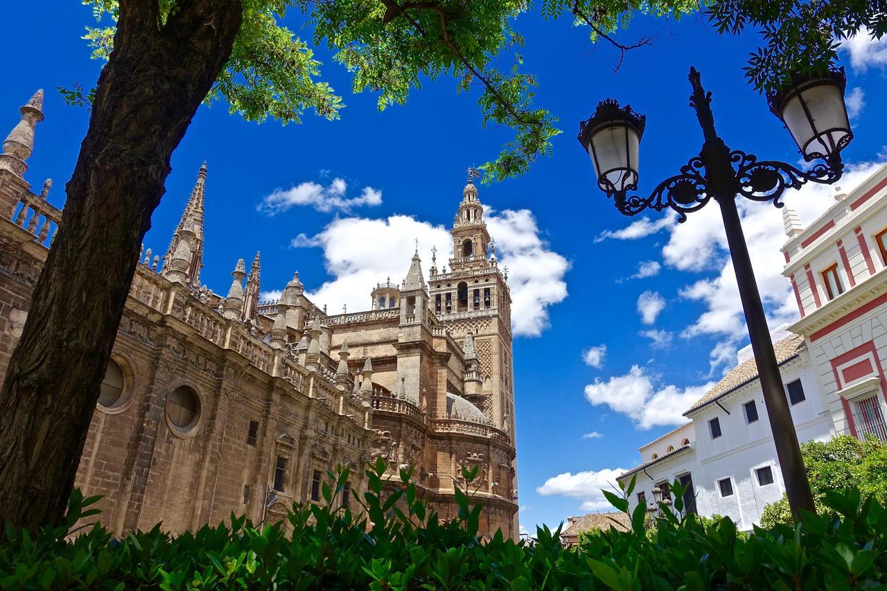 Hostly Acetres 1A Loft In City Center, Comunal Terrace, Fibre,Parking Optional Sevilla Exteriör bild